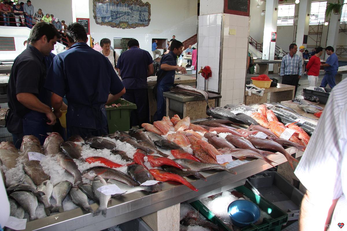 Mercado dos Lavradores