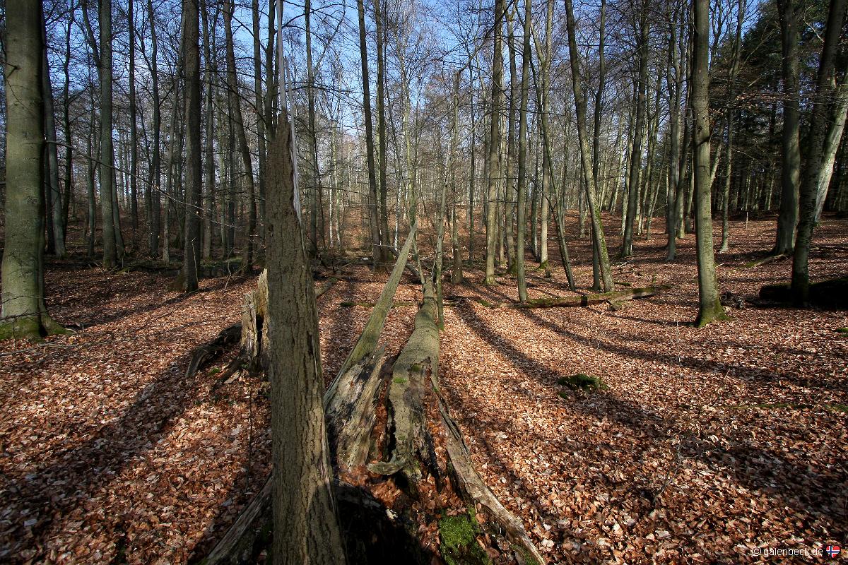 Naturpark Sternberger Seenland