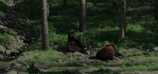 natur_und_umweltpark_güstrow_2
