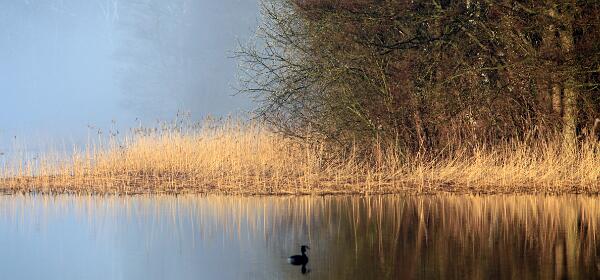 Garder See