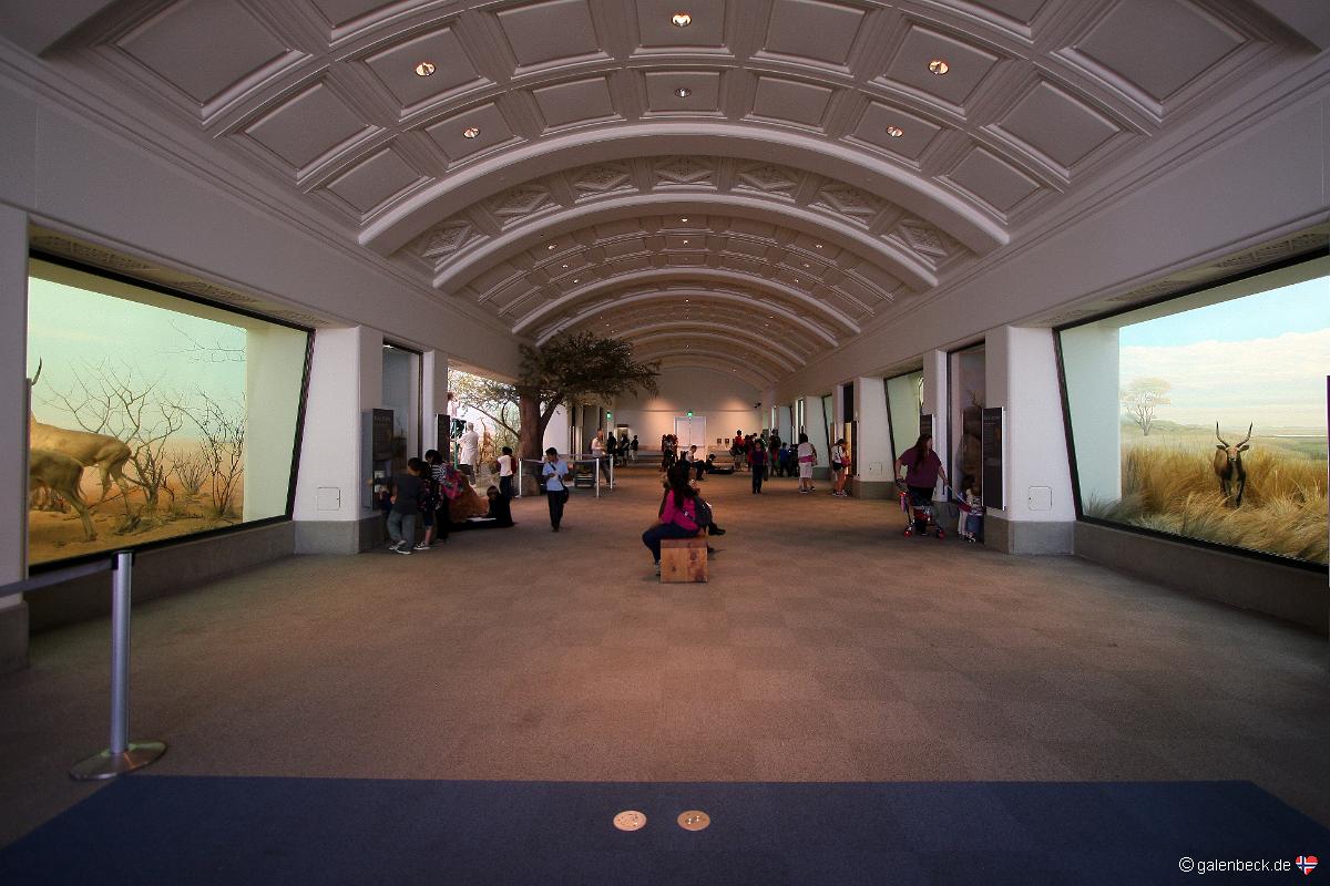California Academy of Sciences
