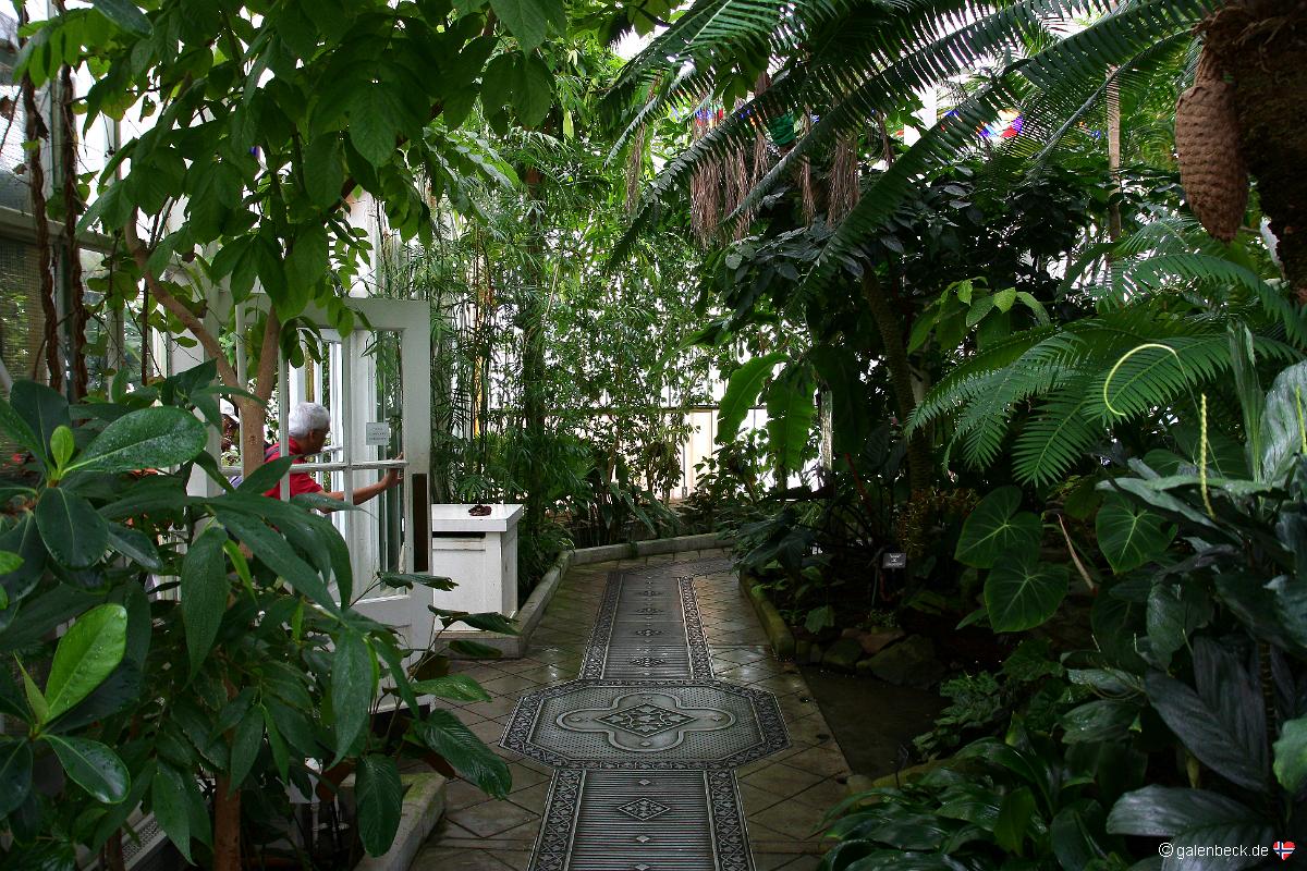Conservatory of Flowers