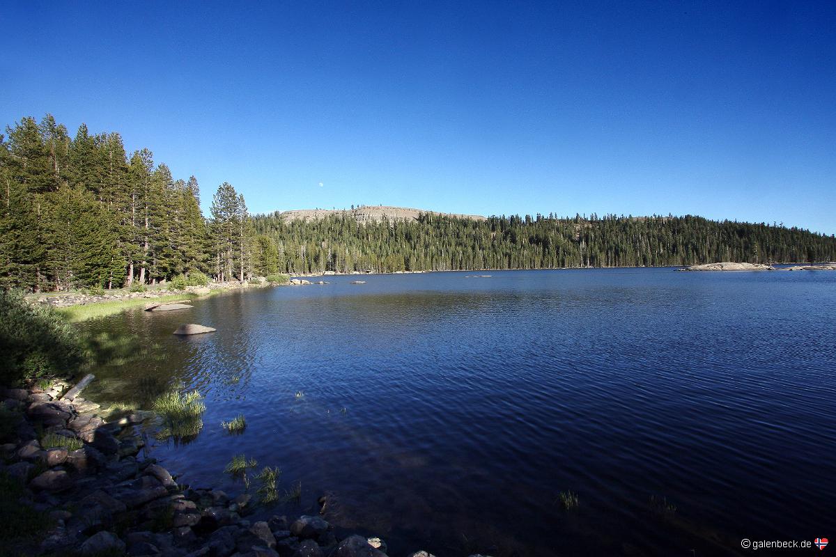 Ebbetts Pass