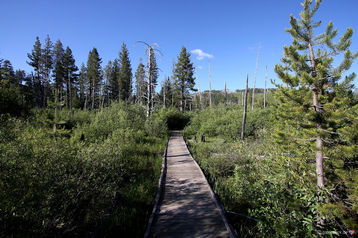 Gold Lake Highway