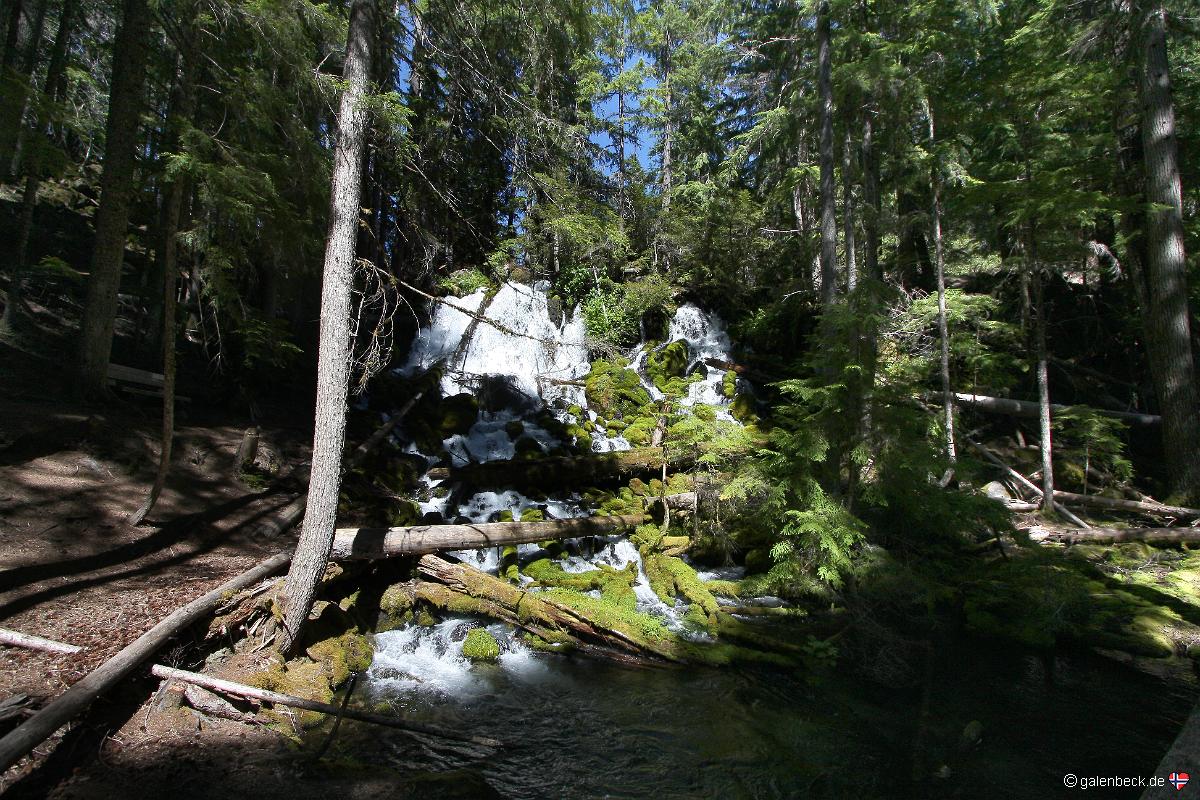 Clearwater Falls