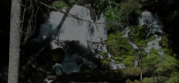 clearwater falls