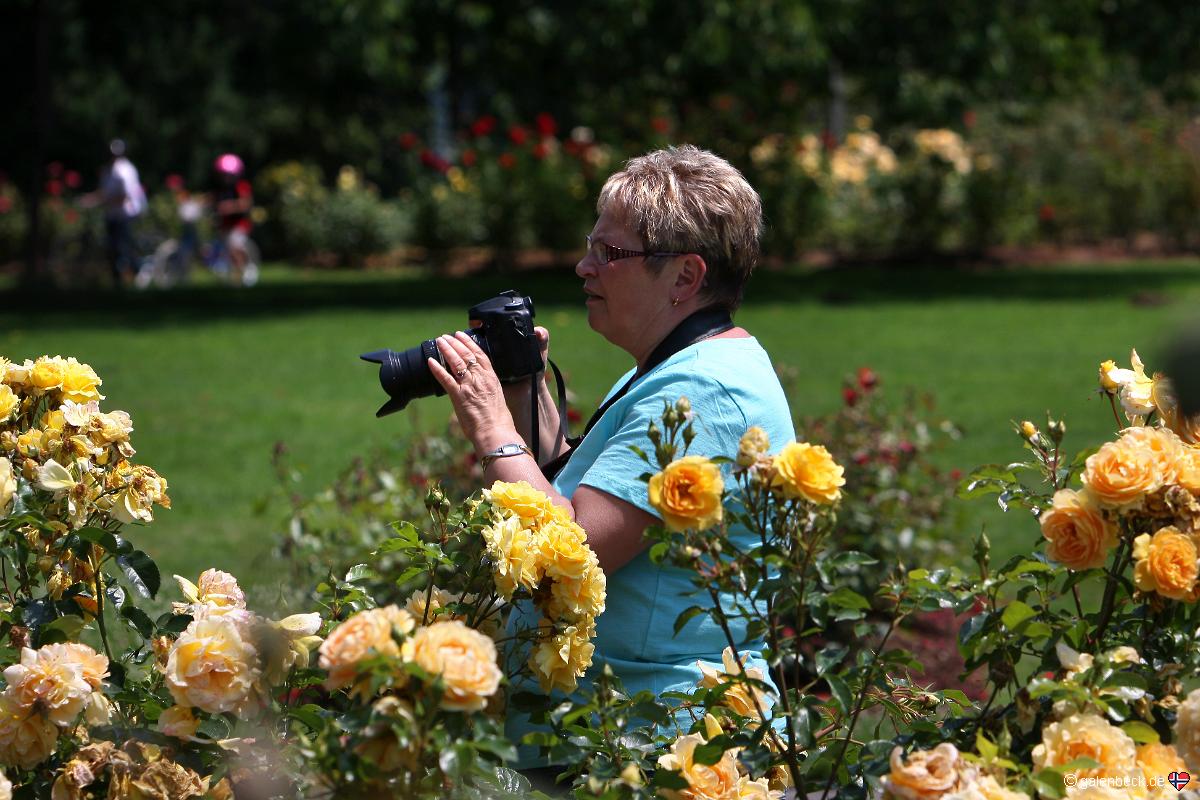Owen Memorial Rose Garden
