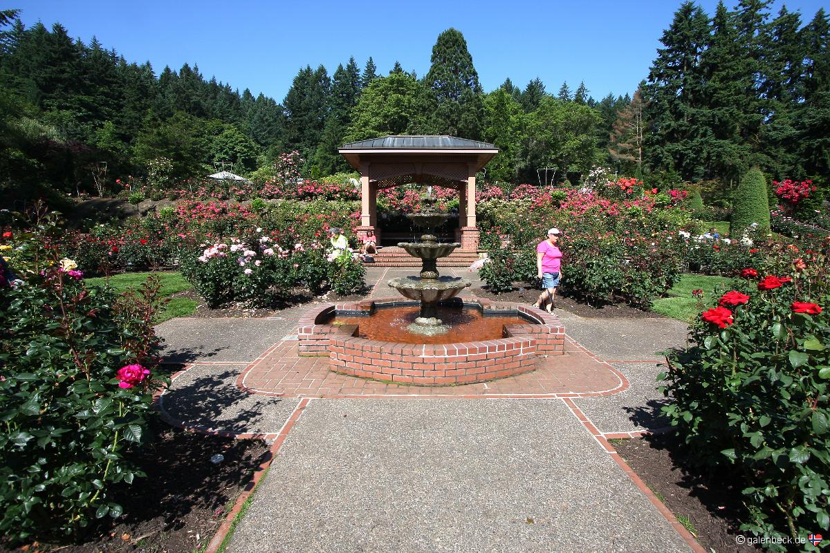 International Rose Test Garden