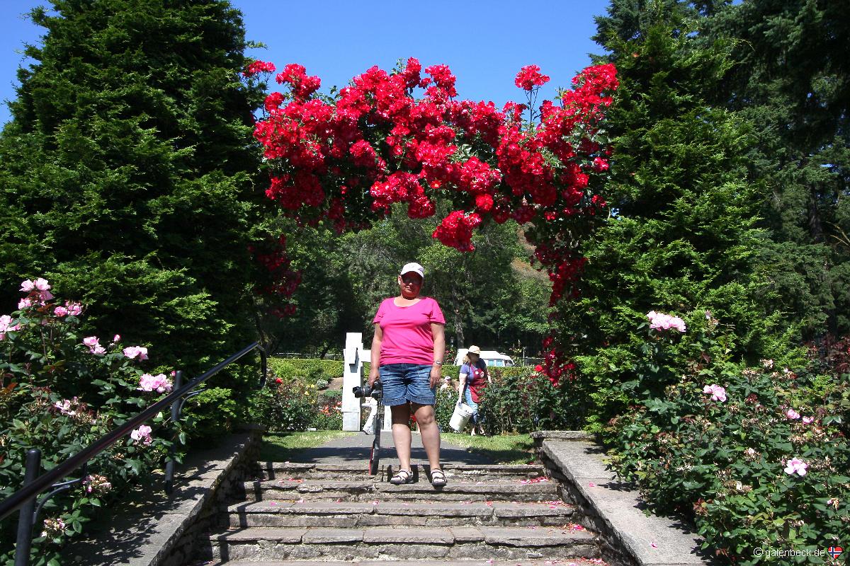 International Rose Test Garden