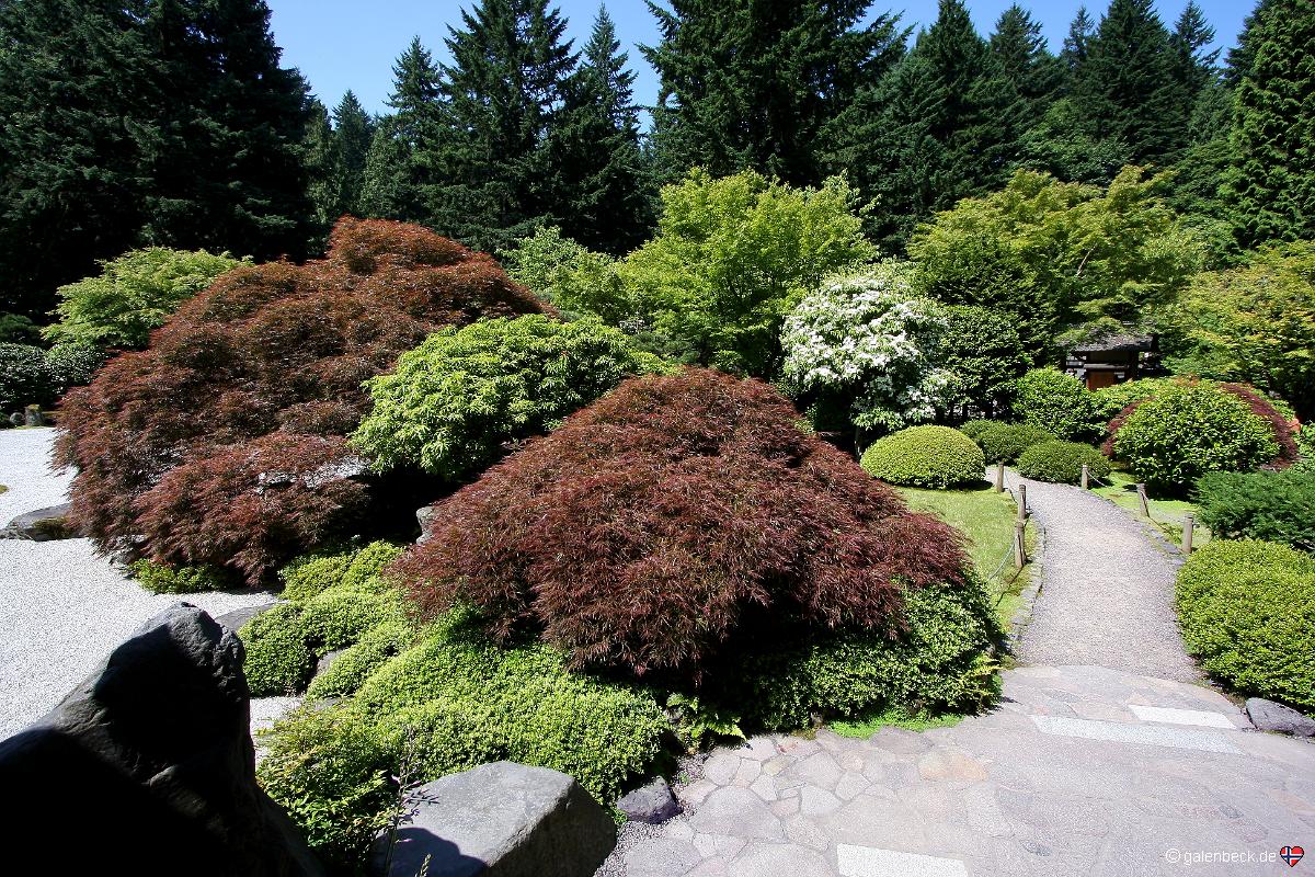 Japanese Garden