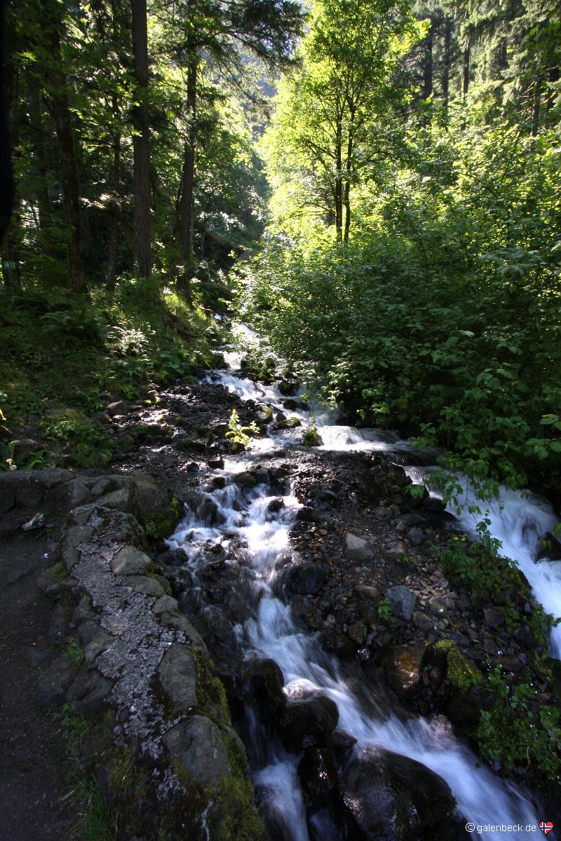 Wahkeena Falls