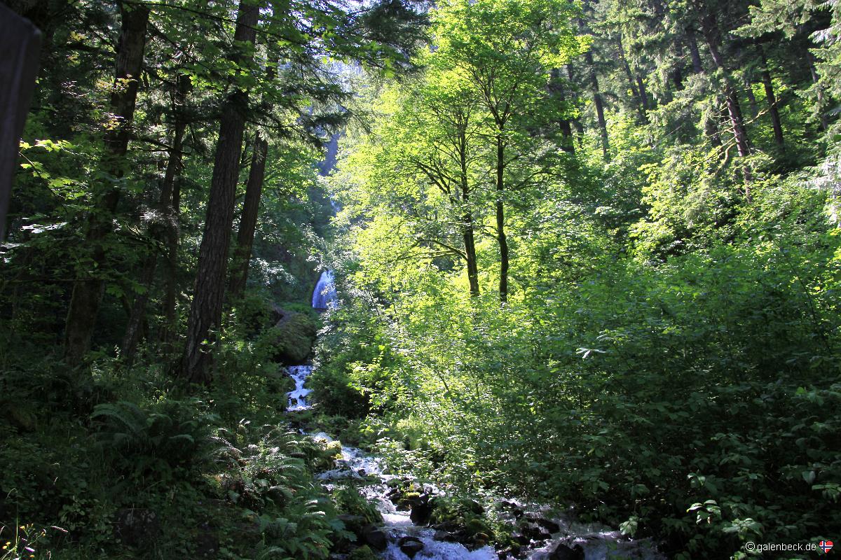 Wahkeena Falls