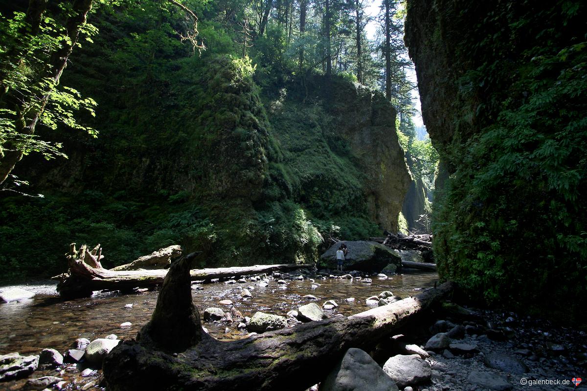 Oneonta Gorge