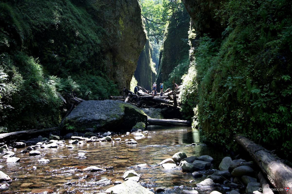 Oneonta Gorge