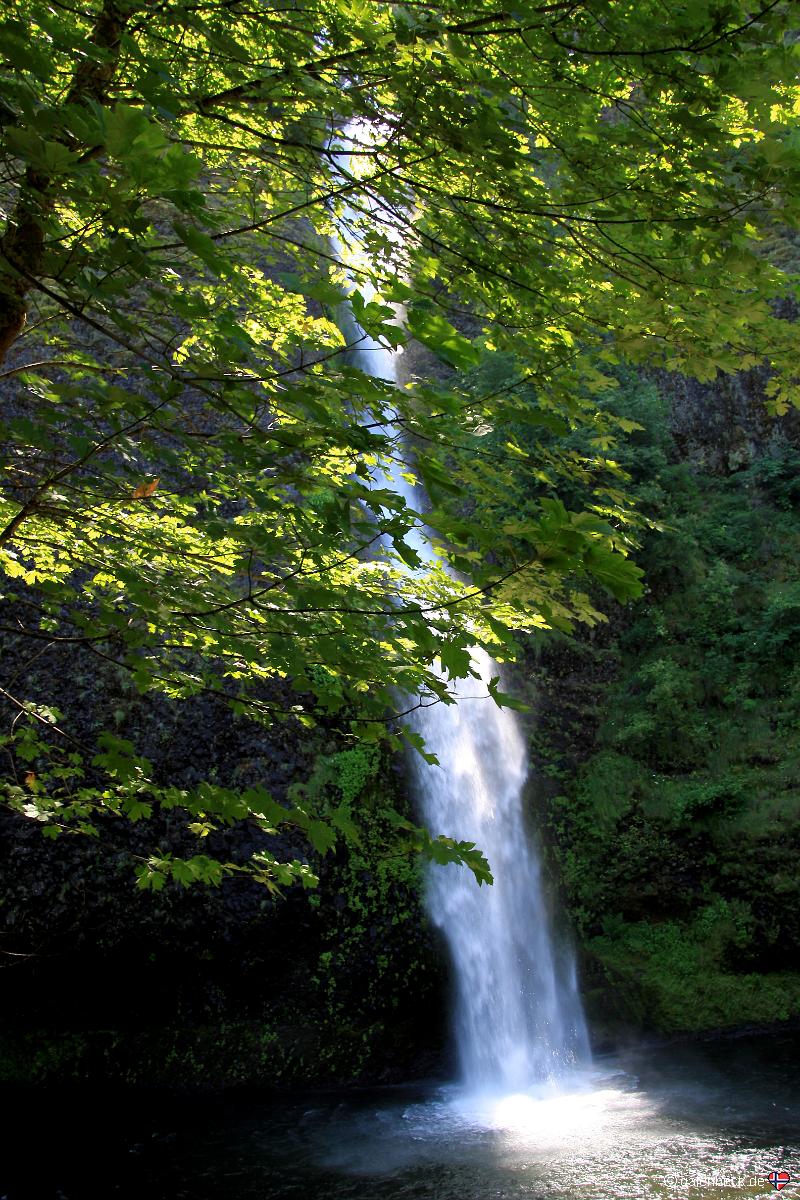 Horsetail Falls