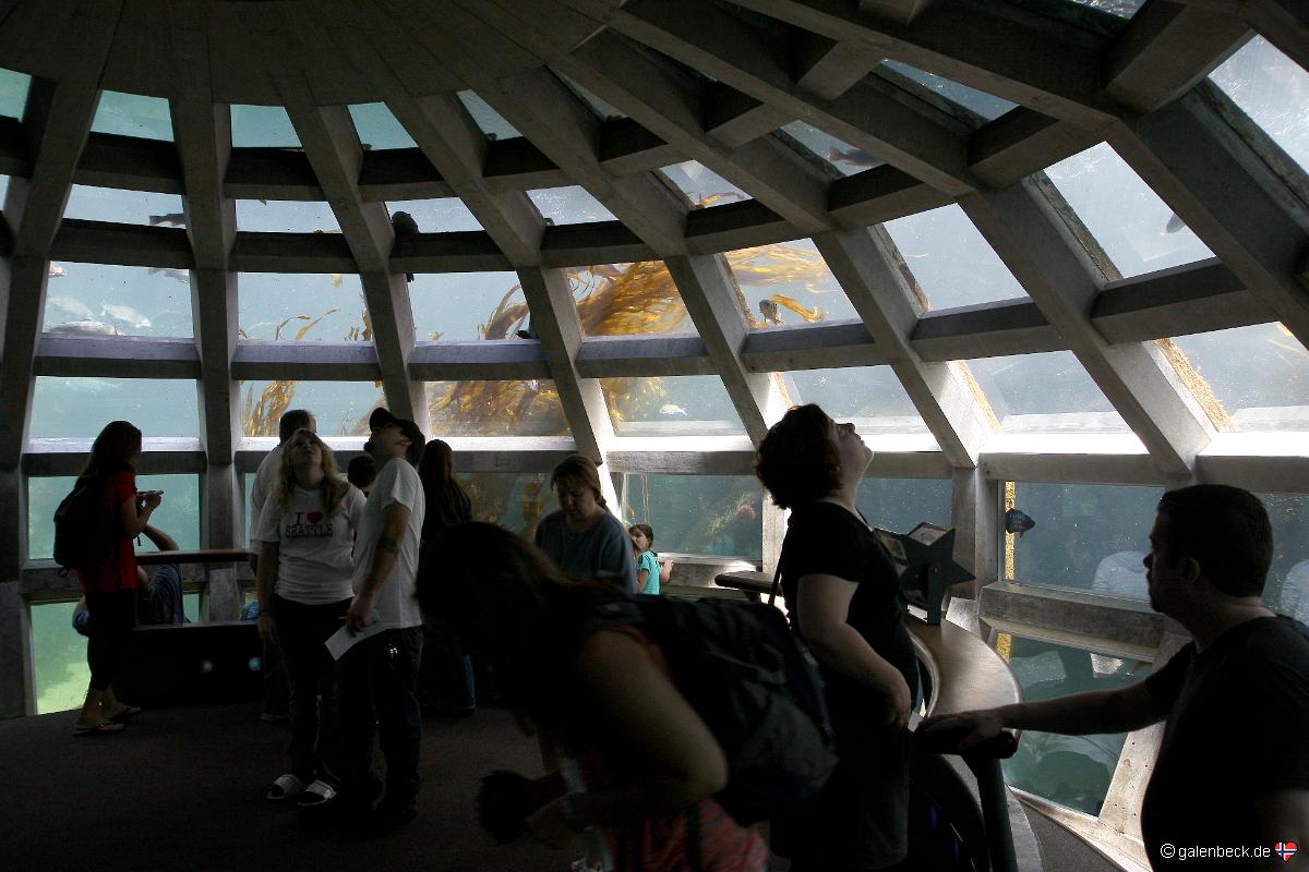 Seattle Aquarium