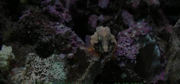 seattle aquarium