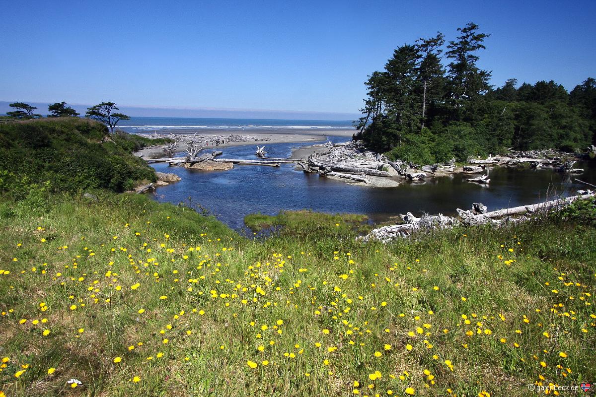 Kalaloch Beach, Olympic National Park