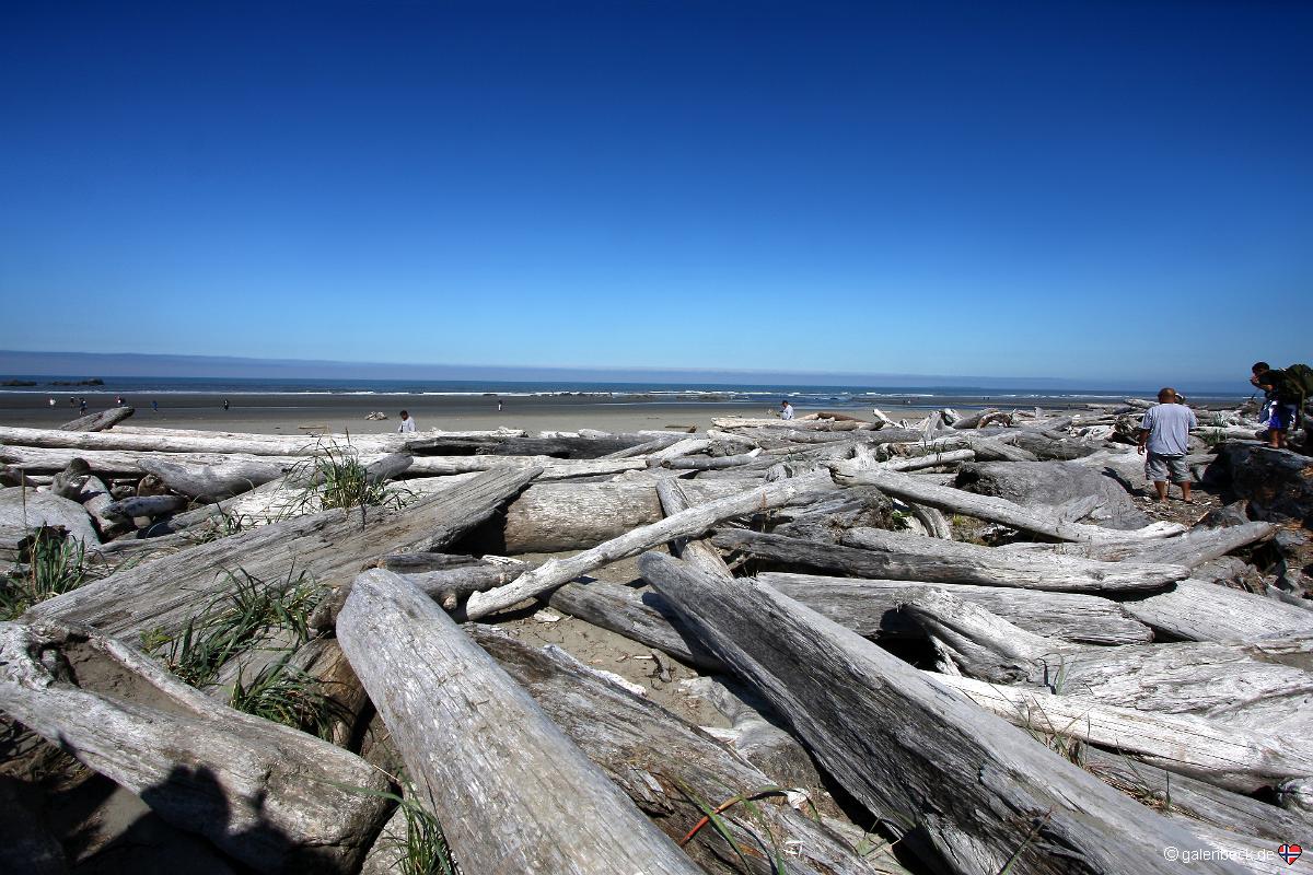 Kalaloch Beach, Olympic National Park