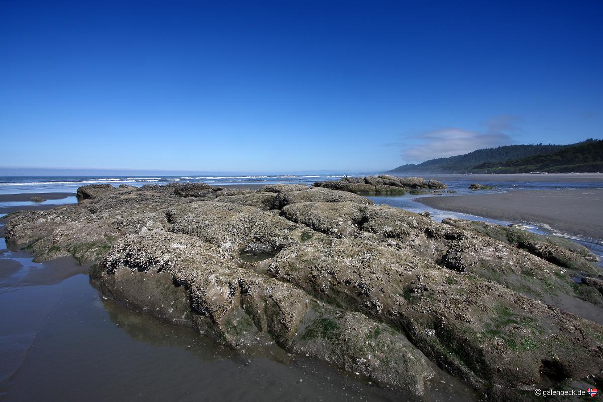 Kalaloch Beach, Olympic National Park