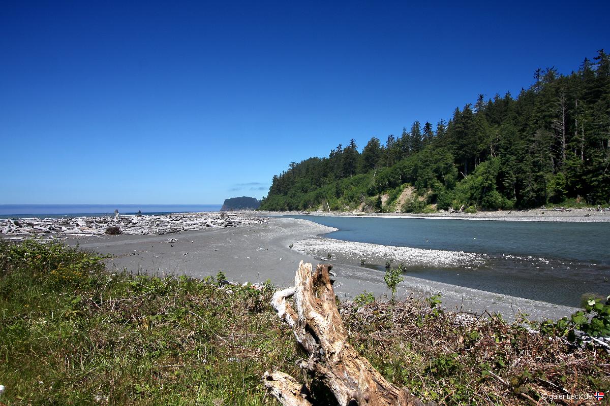 Hoh River Beach