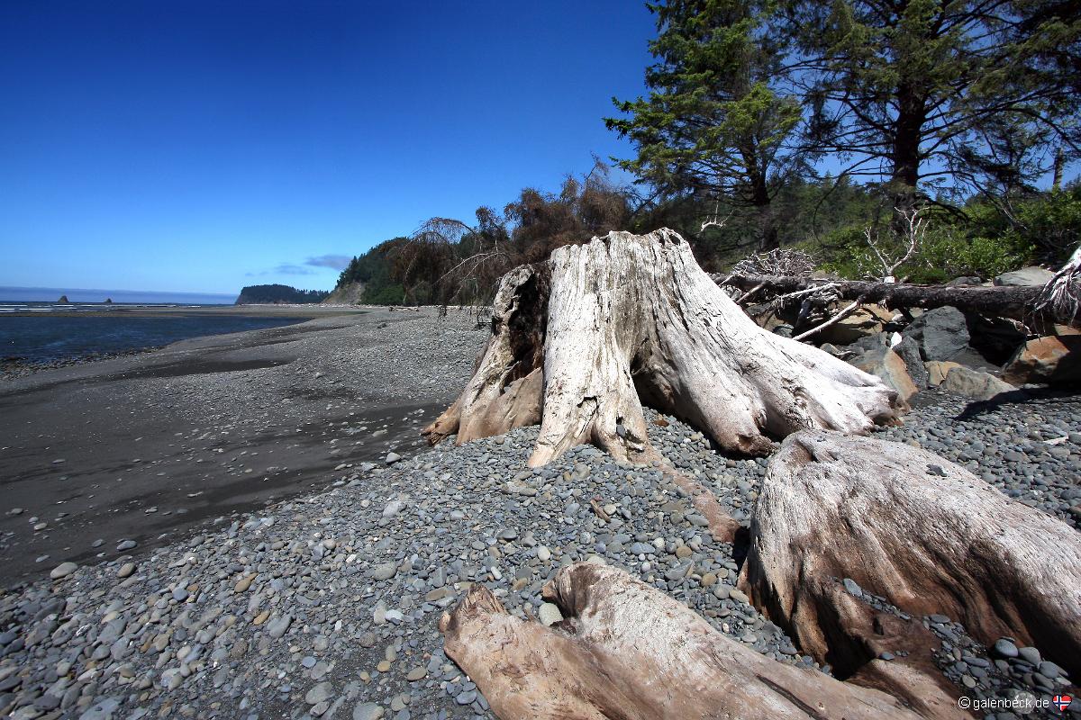 Hoh River Beach