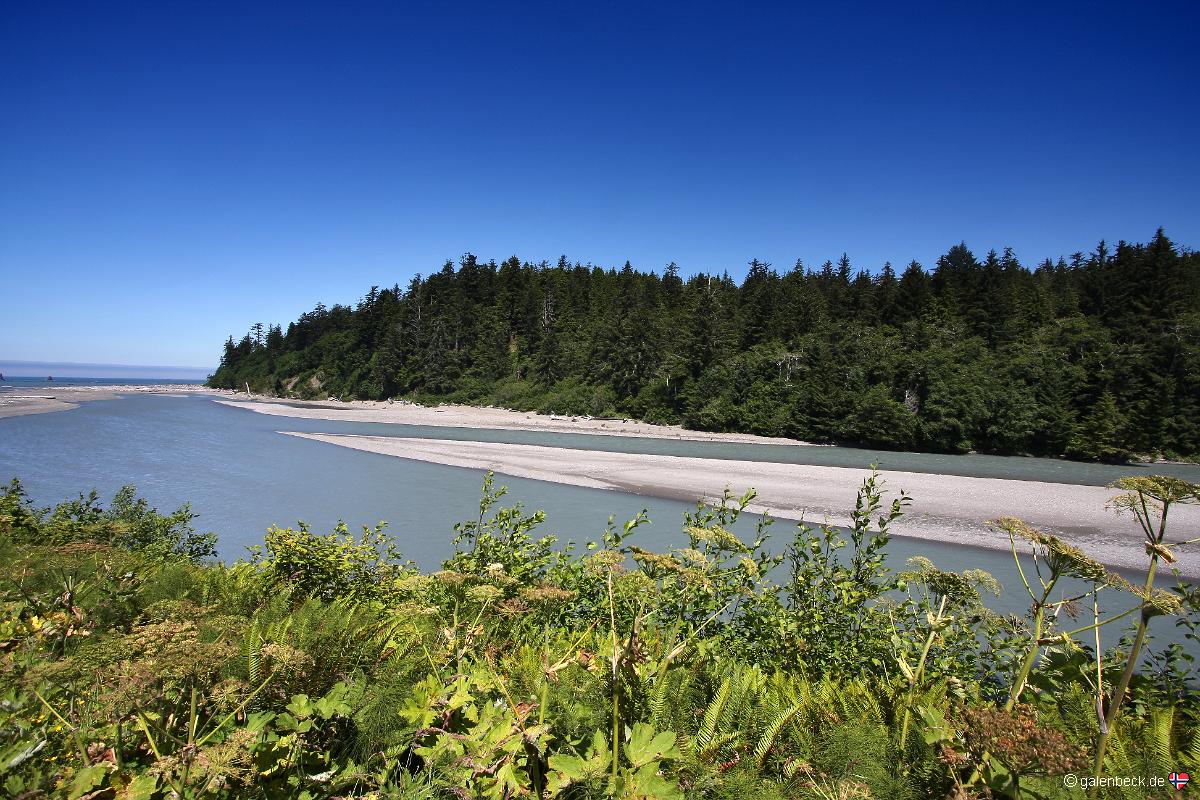 Hoh River Beach