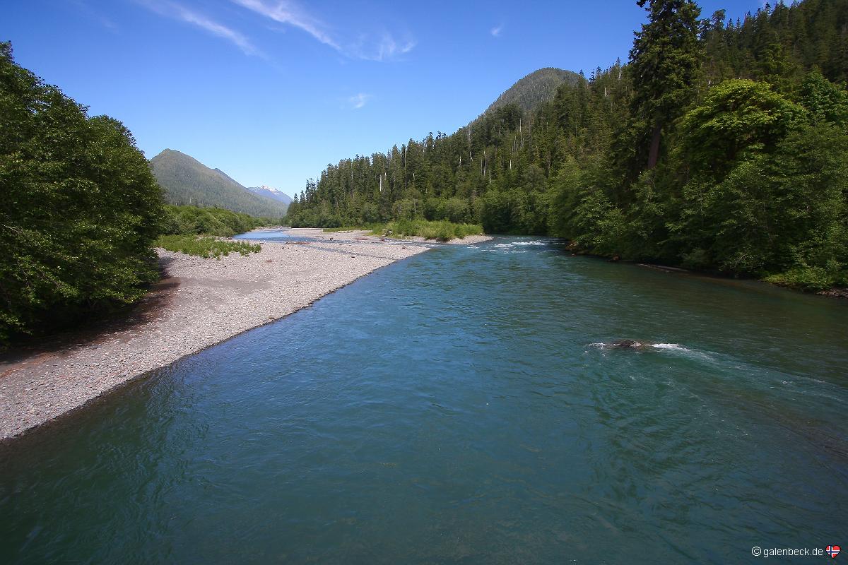 Lake Quinault Shore Loop, Olympic National Park