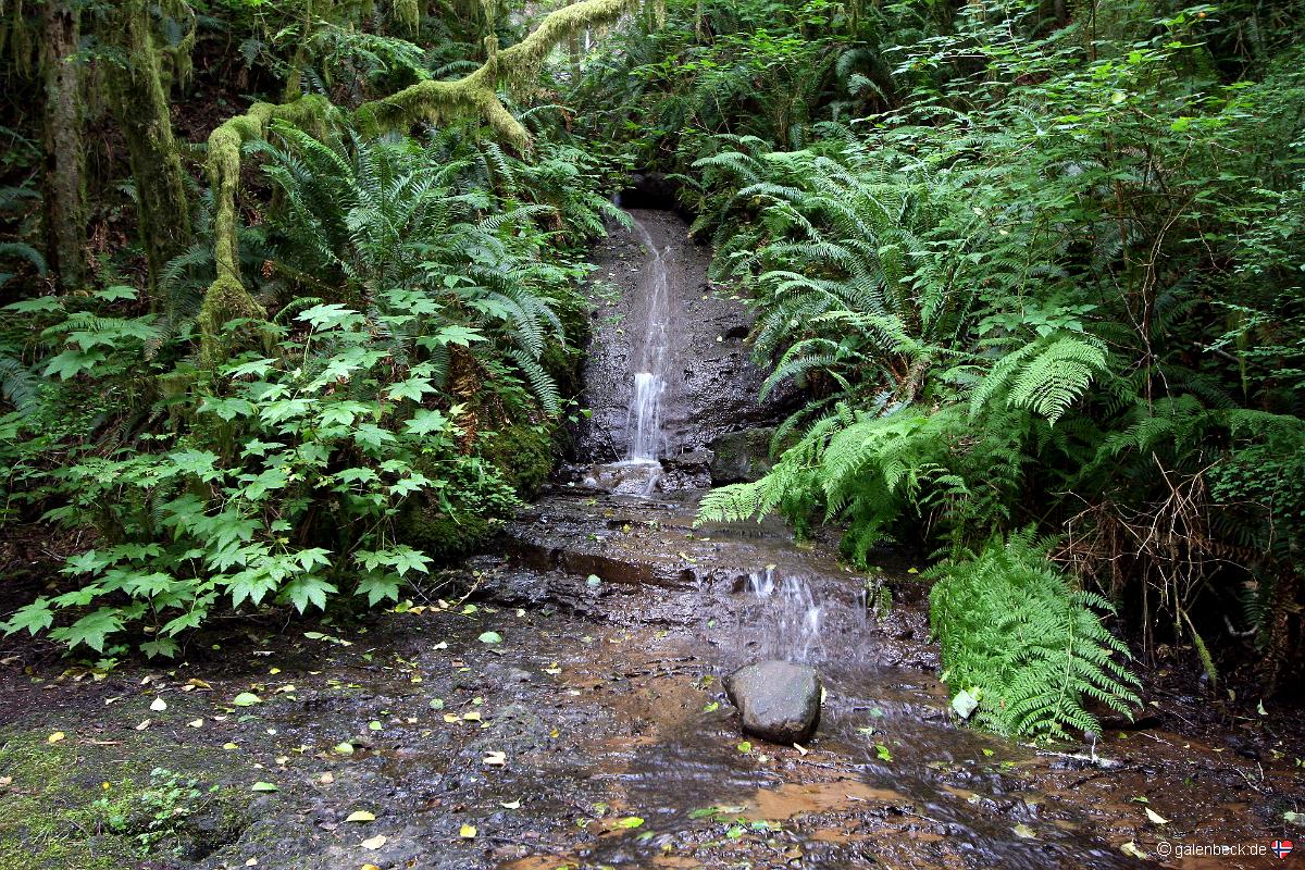 Barrier Falls