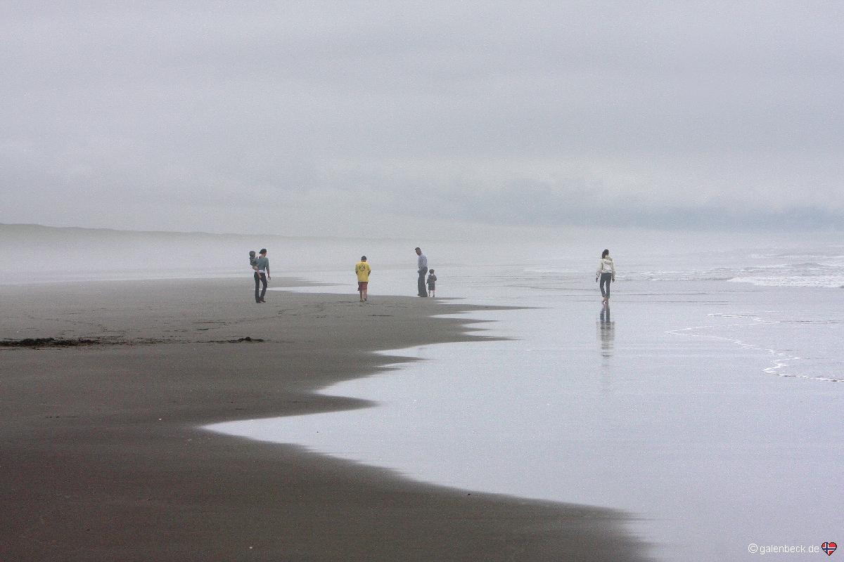 Peter Iredale Beach