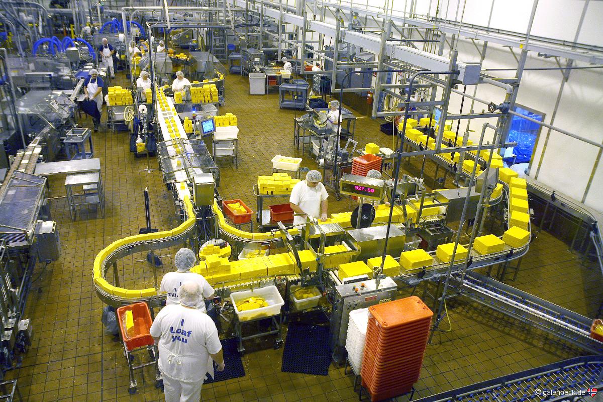 Tillamook Cheese Factory