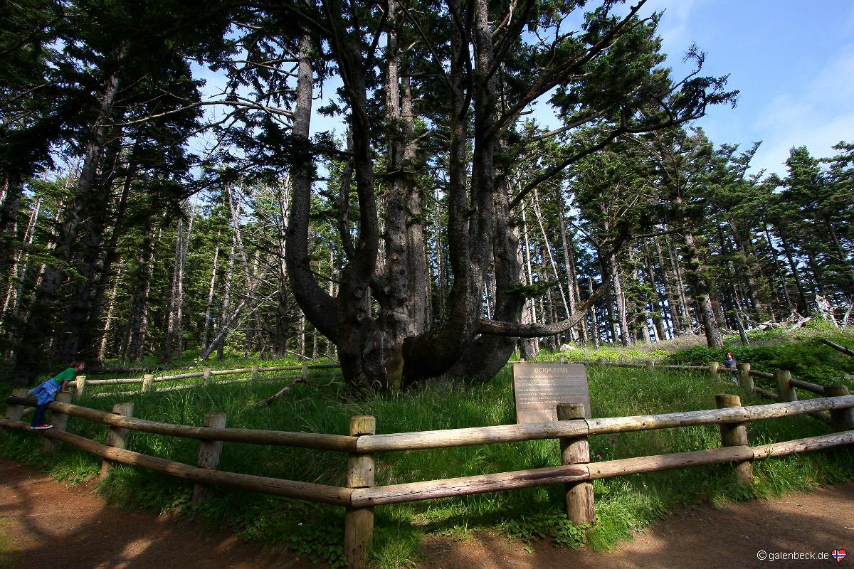 Cape Meares Lighthouse