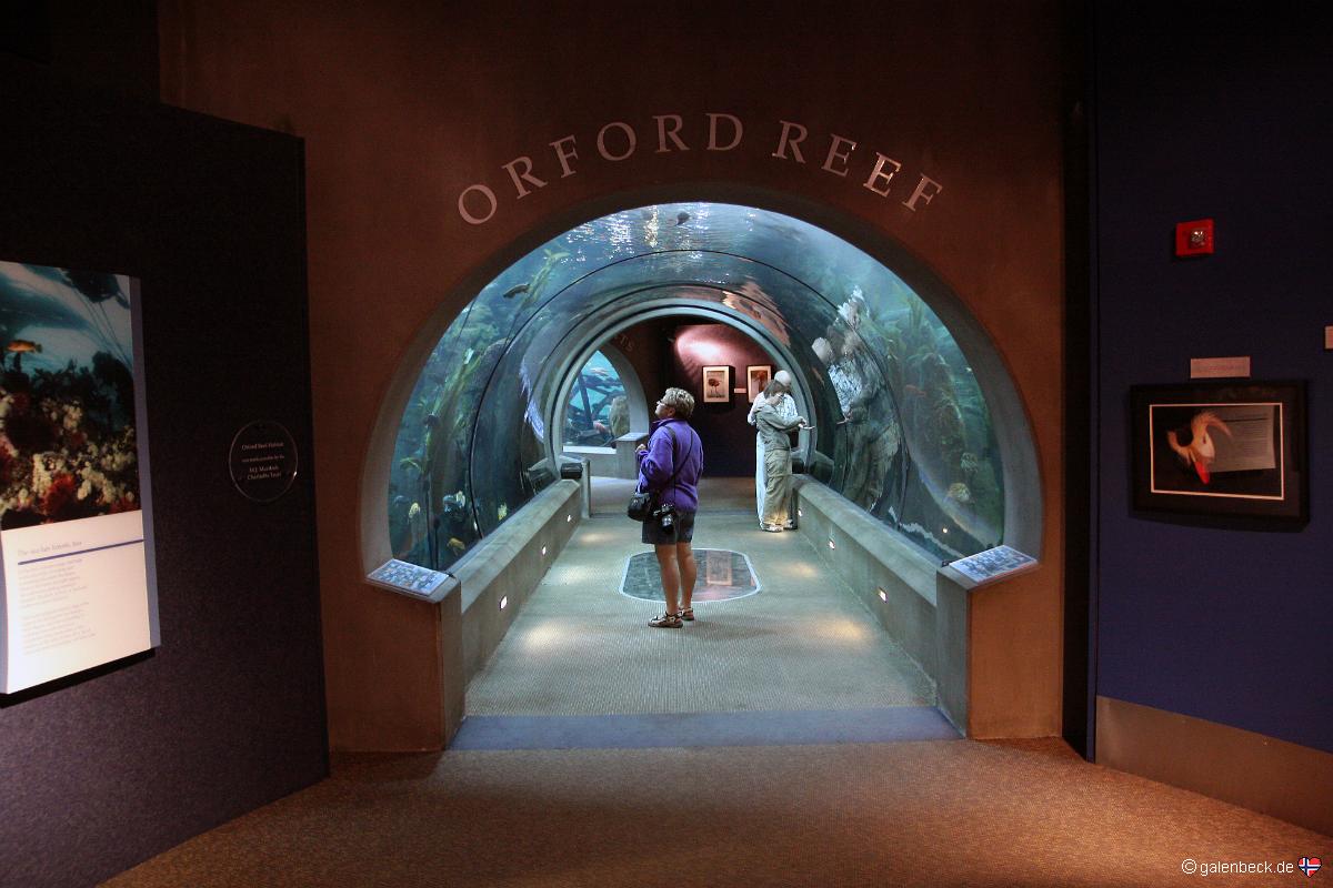 Oregon Coast Aquarium