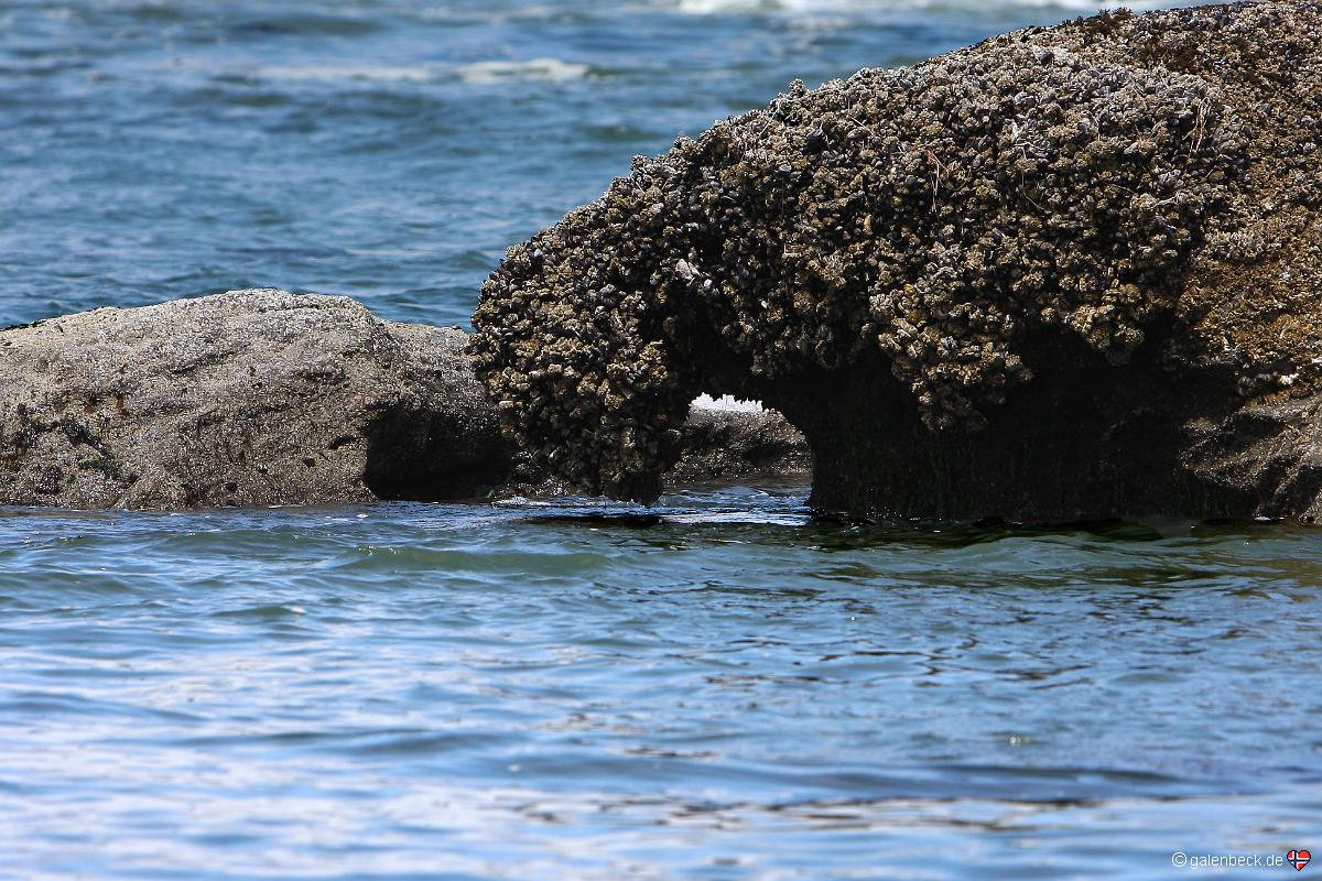 Seal Rock State Park