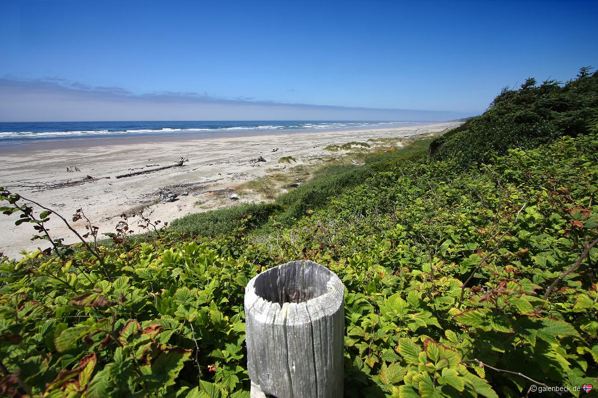 Driftwood Beach State Recreation Site