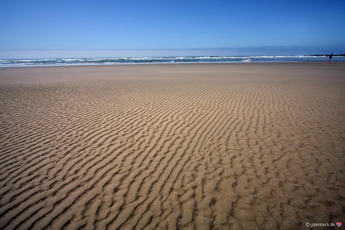 Yachats Ocean Road State Natural Site