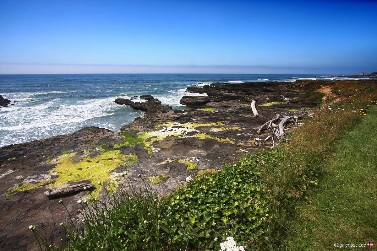 Cape Perpetua Special Interest Area