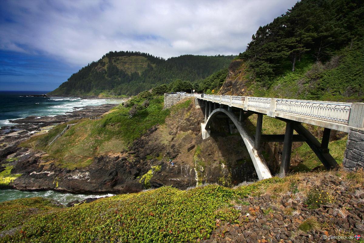 Cape Perpetua Special Interest Area
