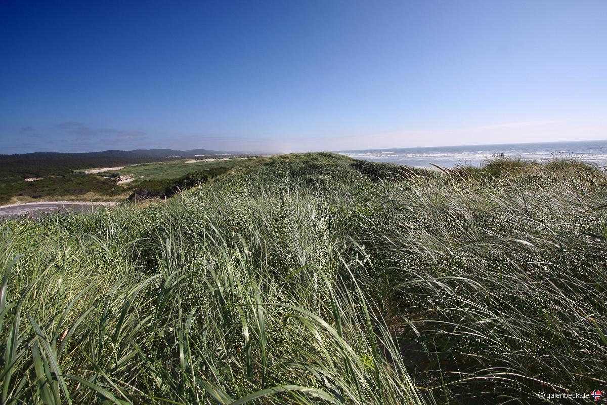 Siltcoos Recreation Area, Oregon Dunes