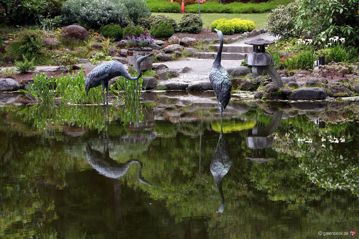 Shore Acres State Park Gardens