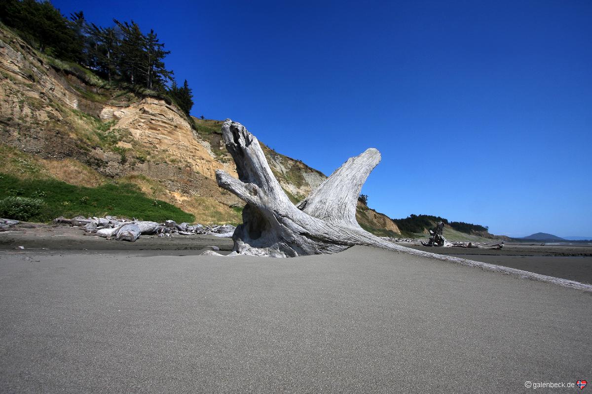 Cape Blanco State Park
