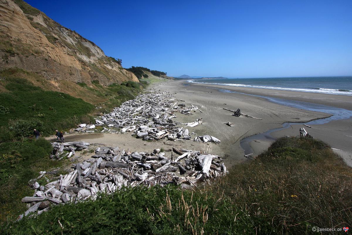 Cape Blanco State Park