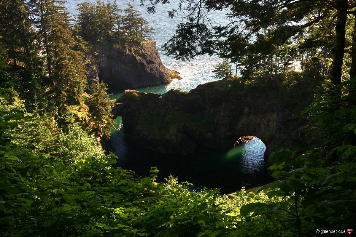 Samuel H Boardman State Park