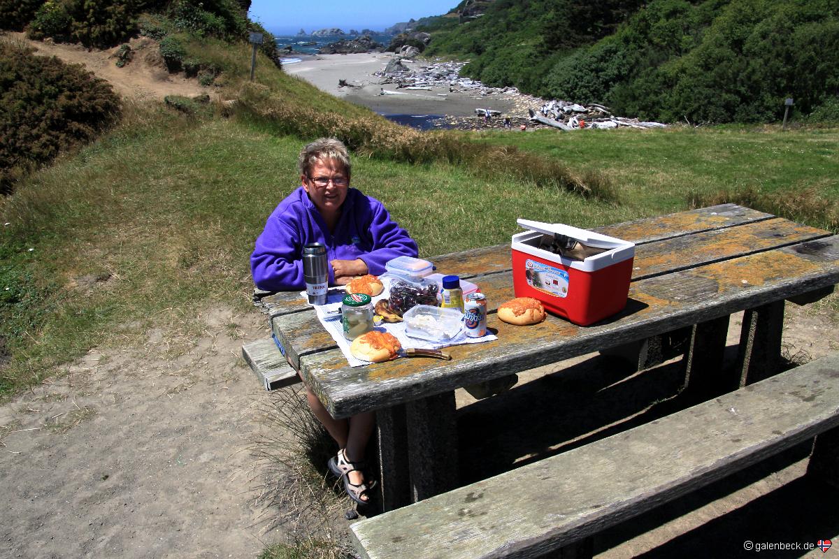 Harris Beach State Park