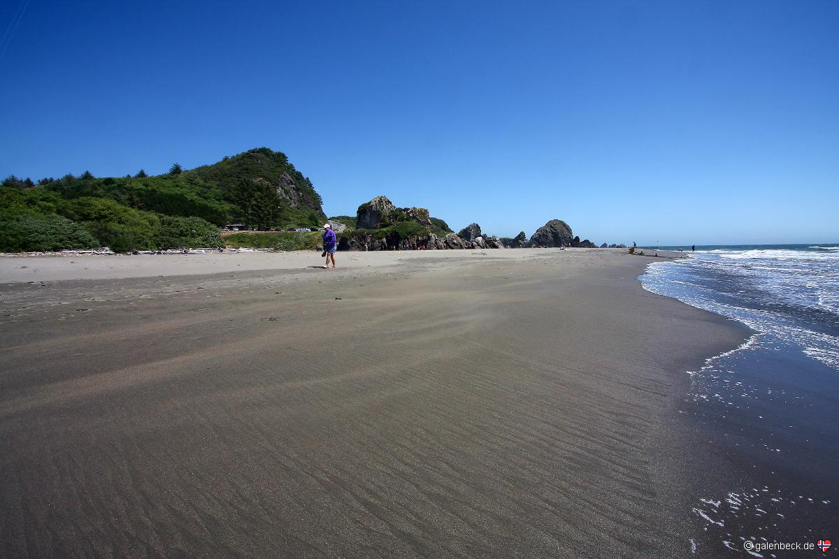 Harris Beach State Park
