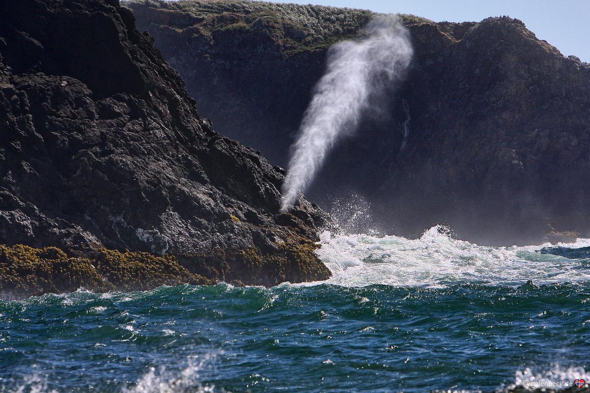 Whaleshead Beach