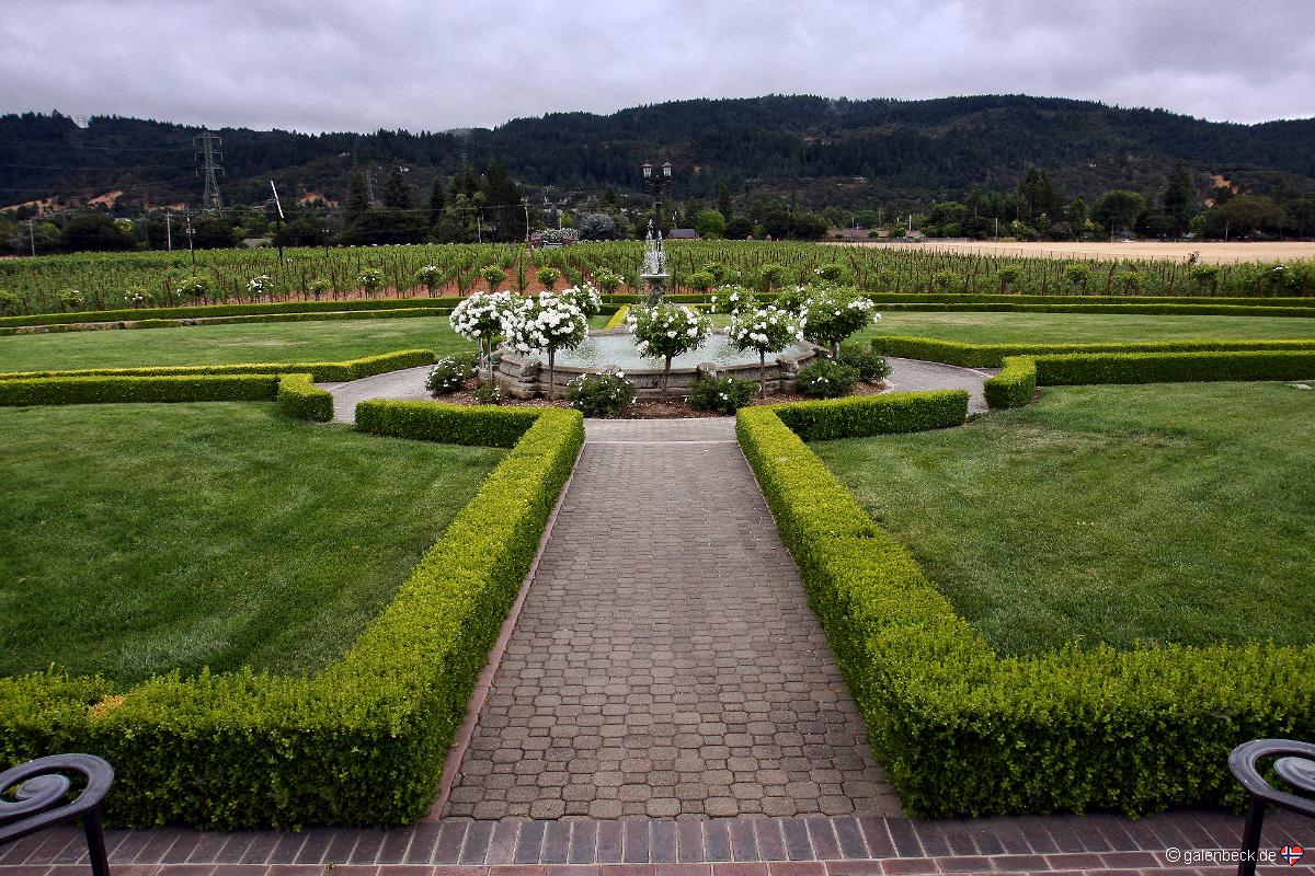 Ledson Winery