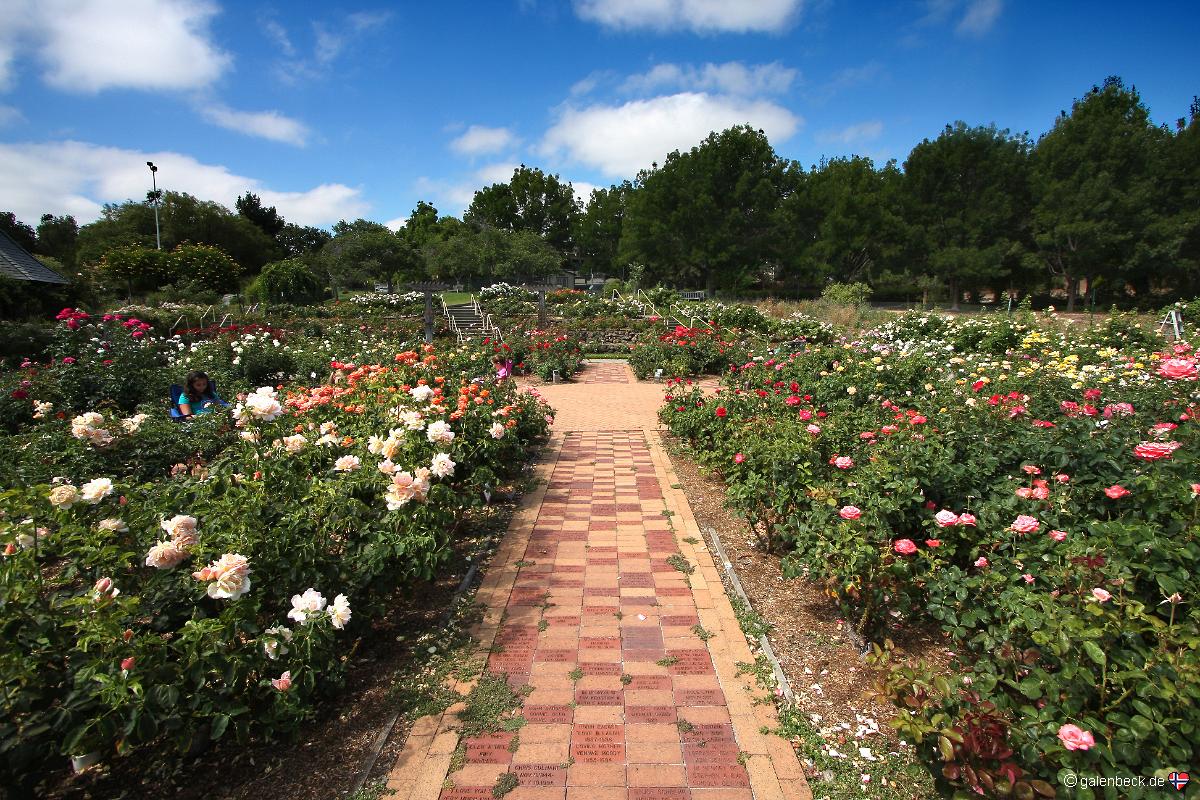 Gardens at Heather Farm