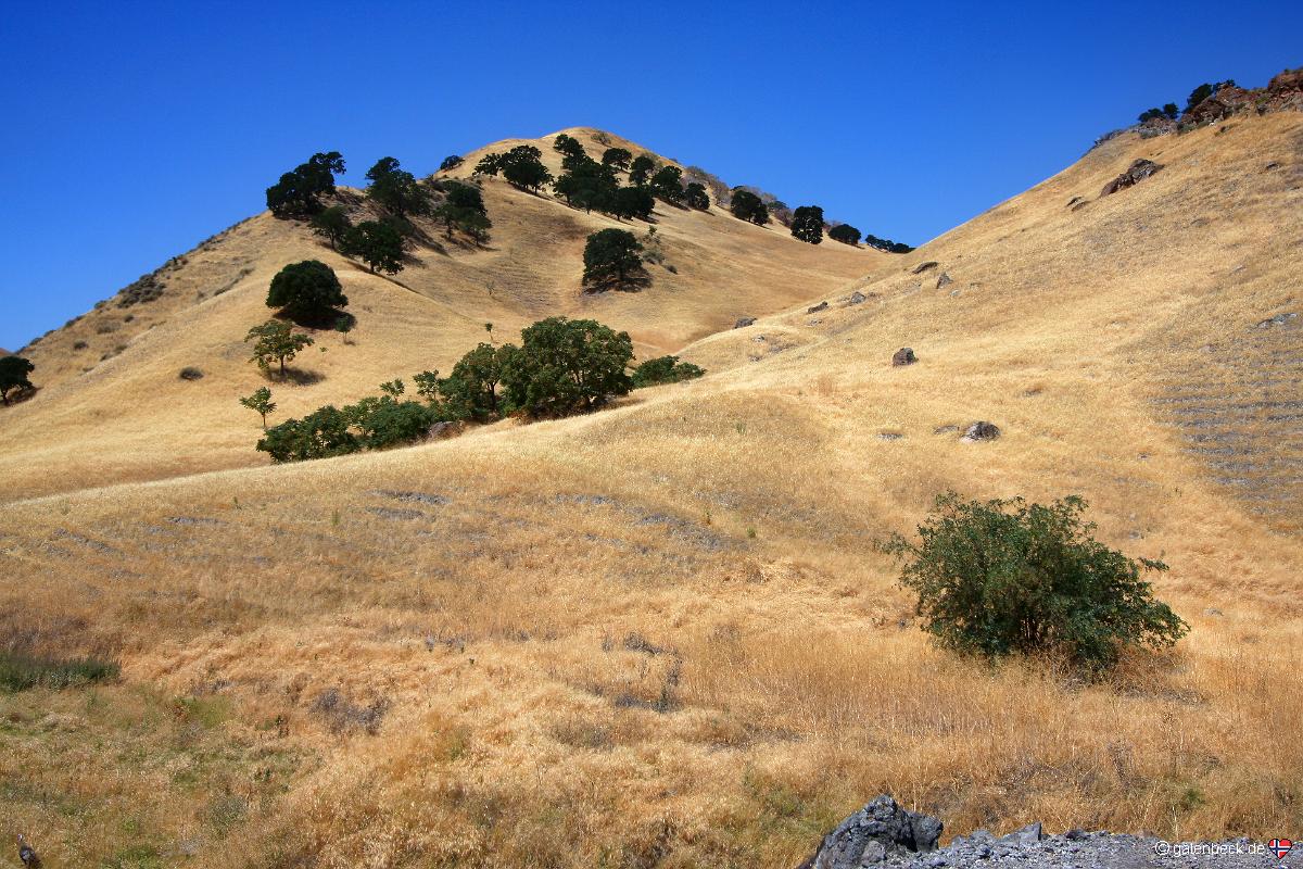 Black Diamond Mines