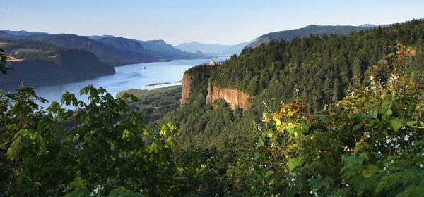 Historic Columbia River Highway